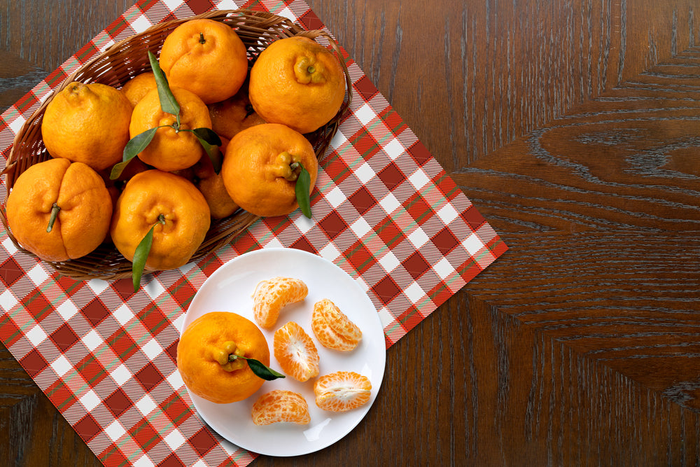 Ponkan Tangerine Tree