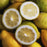 Ponderosa Lemon Fruit