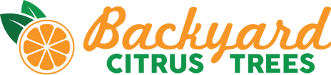Backyard Citrus Trees