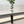 Dancy Tangerine Tree