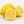 Meyer Lemon Tree