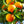 Tango Mandarin