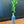 Sugar Belle® 'LB8-9' Mandarin Tree-Backyard Citrus Trees