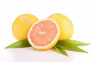 Thompson Grapefruit (Pink Marsh) Tree