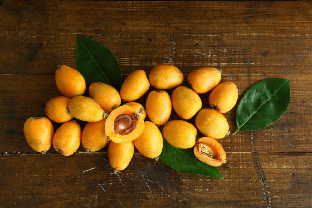 Christmas Loquat Tree