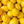 Bearss Lemon Tree-Backyard Citrus Trees
