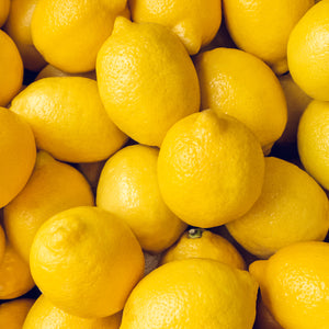 Bearss Lemon Tree-Backyard Citrus Trees