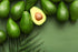 Simmonds Avocado Tree