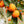 Blood Orange (Moro) Tree-Backyard Citrus Trees