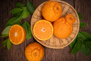 Shiranui Mandarin Tree-Backyard Citrus Trees