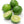 Key Lime Tree-Backyard Citrus Trees
