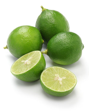 Key Lime Tree-Backyard Citrus Trees
