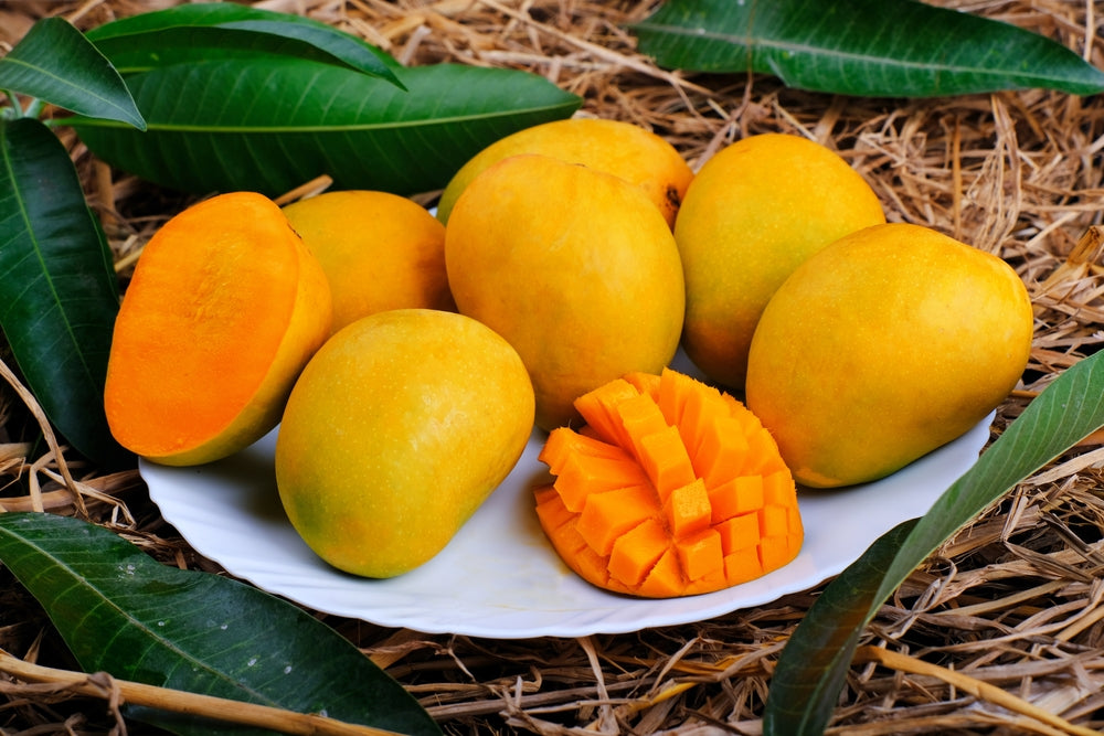 Sweet Tart Mango Tree
