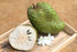 Soursop Tree