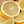 White Marsh Grapefruit Tree-Backyard Citrus Trees