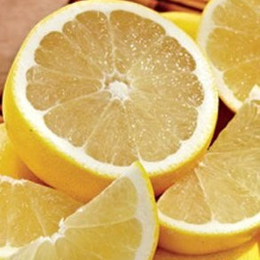 White Marsh Grapefruit Tree-Backyard Citrus Trees