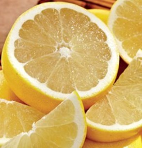 White Marsh Grapefruit Tree