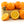 Honeybell Minneola Tangelo Tangerine Grapefruit Tree For Sale Florida