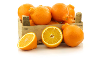 Honeybell Minneola Tangelo Tangerine Grapefruit Tree For Sale Florida
