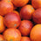 Moro Blood Orange Tree Fruit