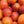 Blood Orange (Sanguinelli) Tree-Backyard Citrus Trees