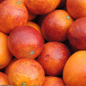 Blood Orange (Sanguinelli) Tree-Backyard Citrus Trees