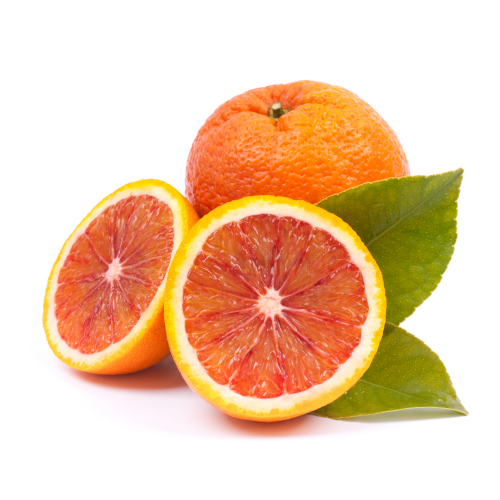 Blood Orange Trees For Sale McGill Citrus Nursery