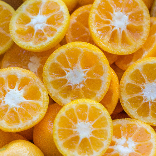 Calamondin Orange Fruit