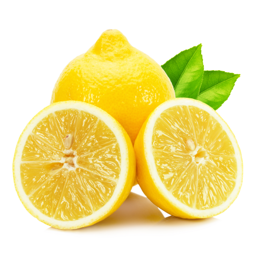 Eureka Lemon Trees For Sale | Backyard Citrus Trees