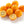 Meiwa Kumquat Fruit
