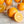 Hamlin Orange Fruit