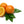 Navel Orange Fruit
