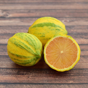 Pink Variegated Eureka Lemon Tree-Backyard Citrus Trees