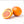 Blood Orange (Sanguinelli) Tree-Backyard Citrus Trees