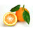 Sour Orange Fruit