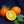 Sugar Belle® 'LB8-9' Mandarin Tree-Backyard Citrus Trees