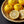 Yuzu Citrus Tree-Backyard Citrus Trees